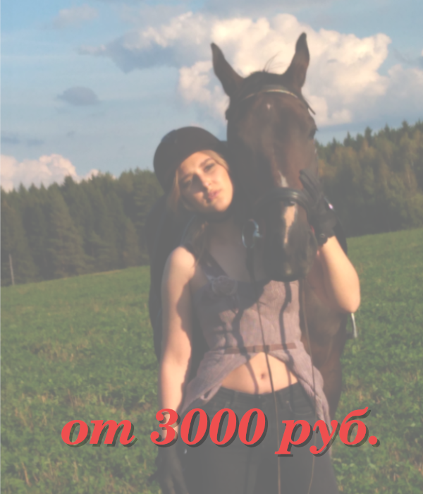 Стоимость аренды лошади для фотосессии с лошадью