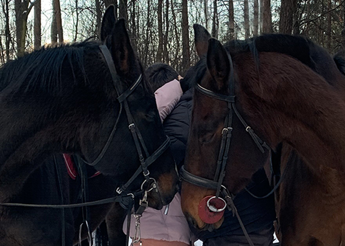 На фоторафии на перед плане две тёмно-гнедые лошадки, который прикоснули друг другу головами на заднем плане девушка целуется со своим молодым человеком