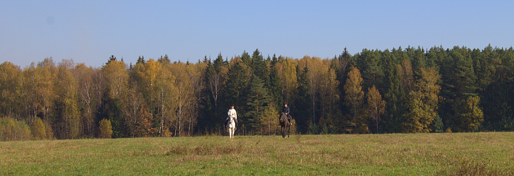 Фото пары, которая катается на лошадях в поле.